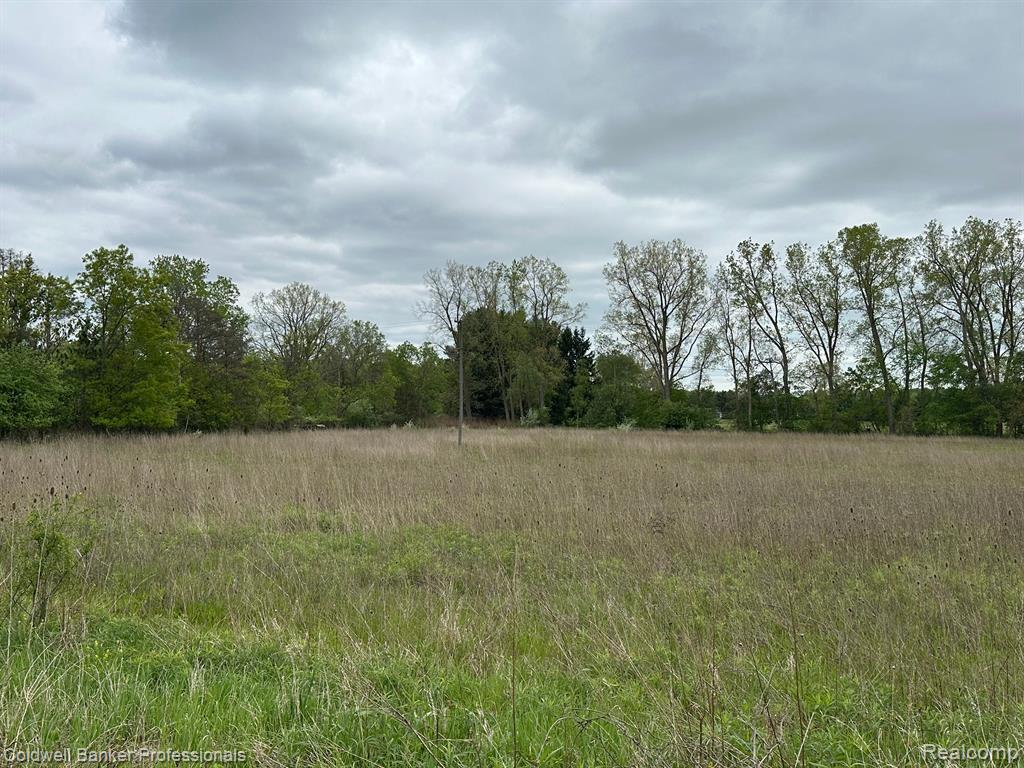 Lot C Bowers Road, Lapeer, MI 48446 — Photo 5