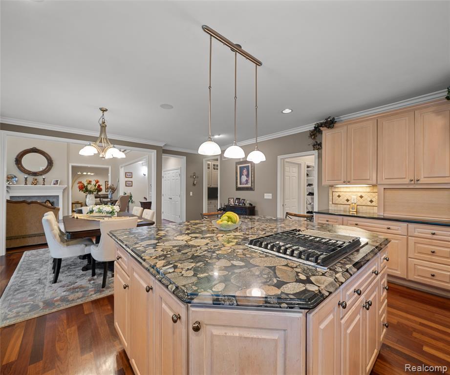 17747 PARKSHORE Drive, Northville, MI 48168 — Photo 33