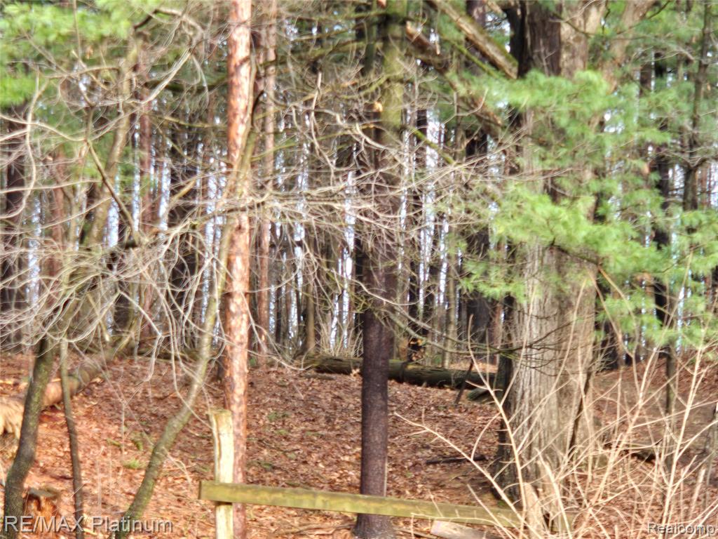 12776 Buno Road, Milford, MI 48380 — Photo 3