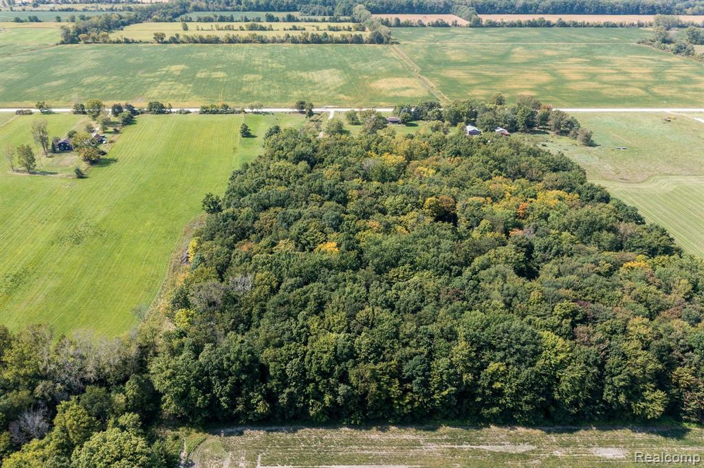 224 PALMS Road, Wales, MI — Photo 30
