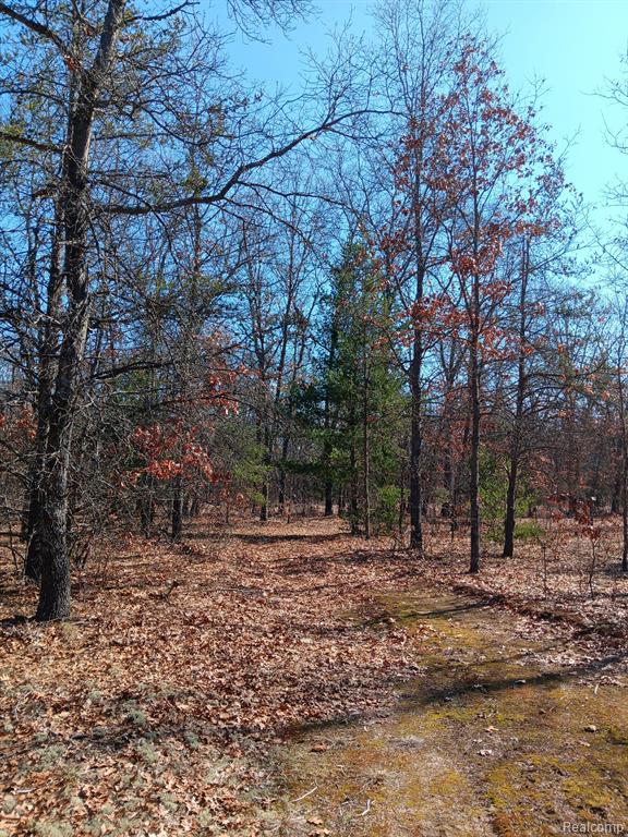 0000 Cedar Creek Road, Wellston, MI, 49689