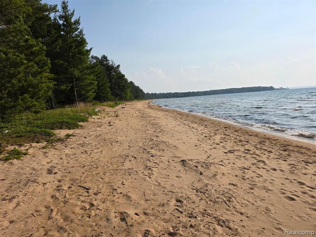 4680 S Pineshore Row, Brimley, MI 49783 — Photo 14