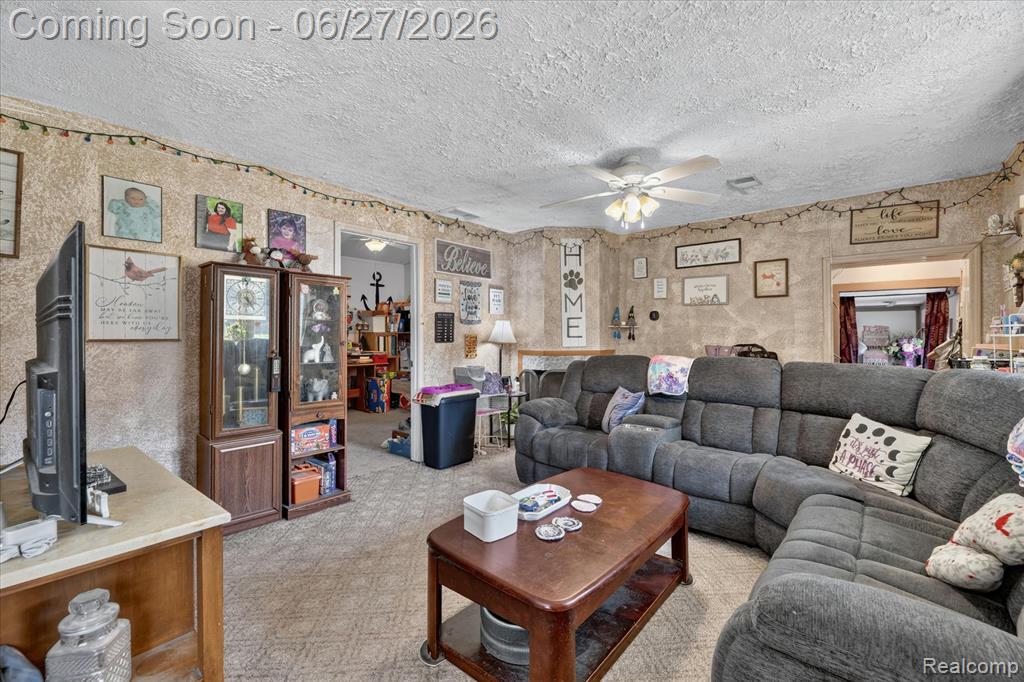 6260 Beth, Brighton, MI 48116 — Photo 9