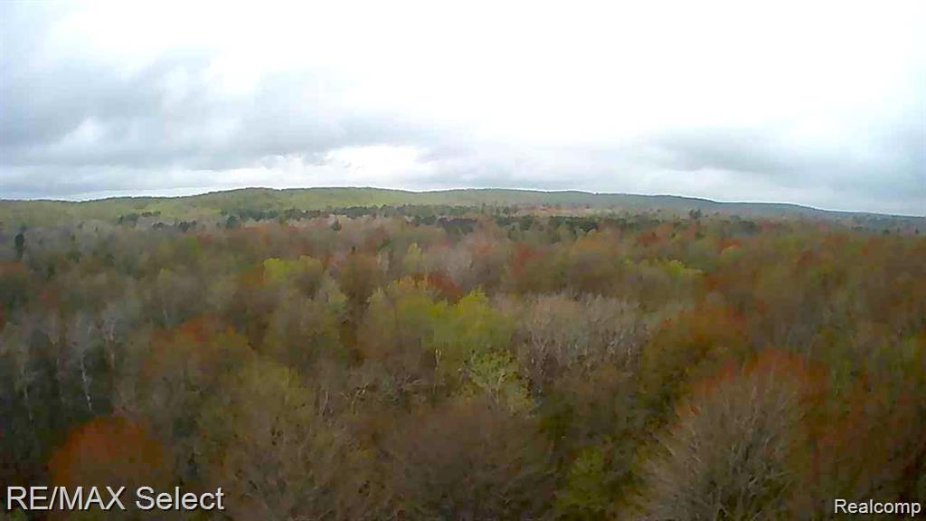 4610 SANMOTT Trail NE, Kalkaska, MI 49646 — Photo 8