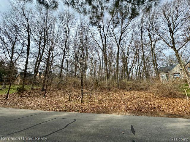 Vacant Land #9 CLIMBING Way, Pinckney, MI 48169 — Photo 4