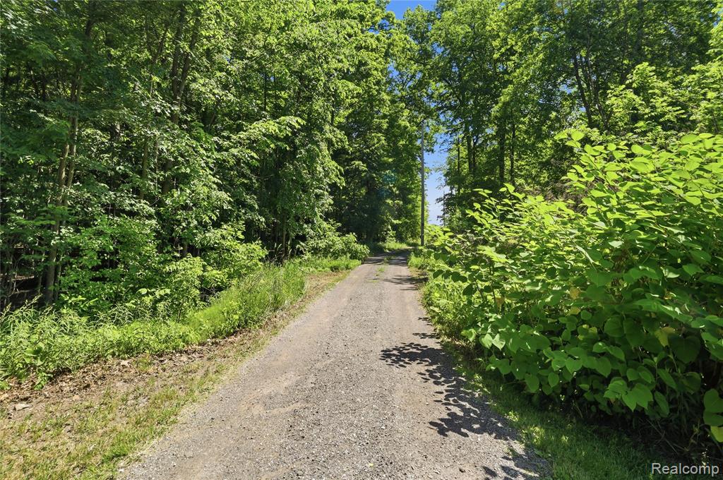 14830 County Line Road, Byron, MI 48418 — Photo 42