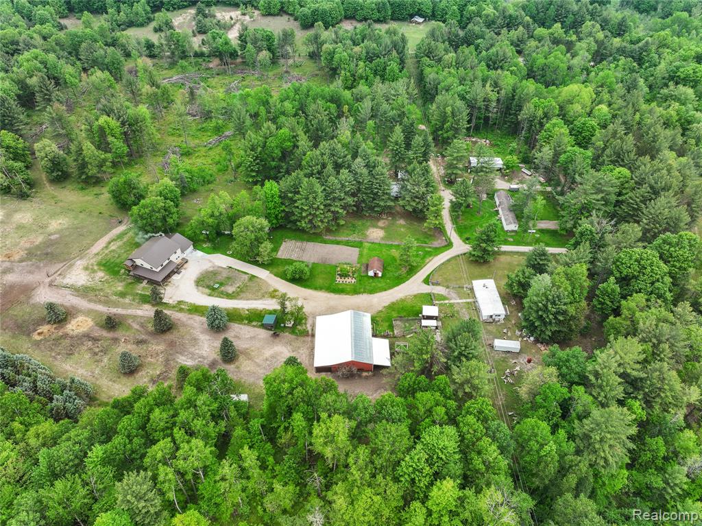 8875 N Lakola Road, Tustin, MI 49688 — Photo 8