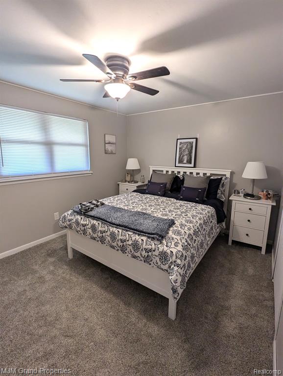 9738 MICHAEL Drive, Romulus, MI 48174 — Photo 11