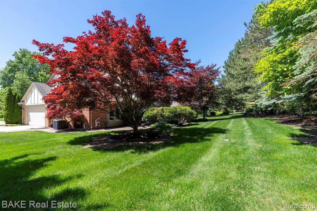 10000 Red Maple Drive, Plymouth, MI 48170 — Photo 10