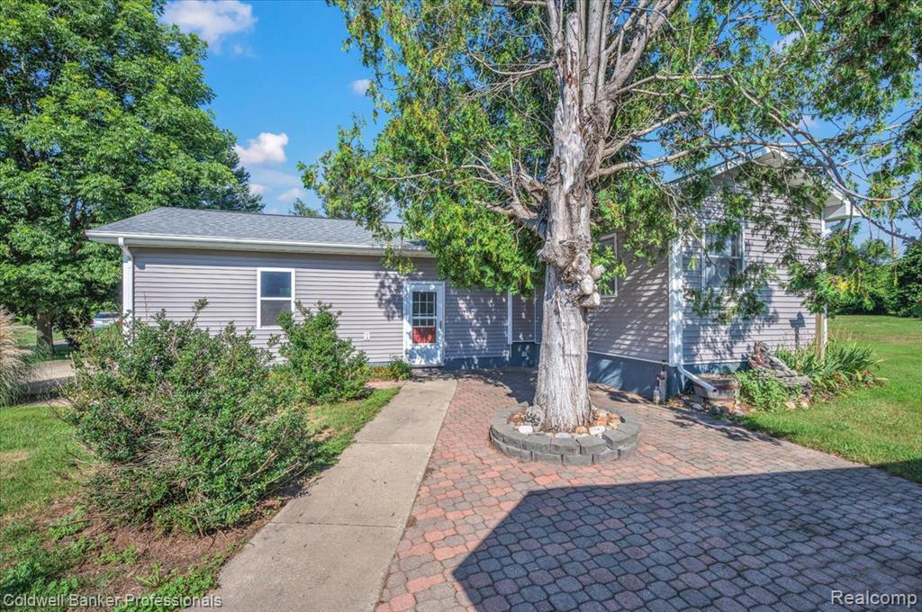 Photo 5