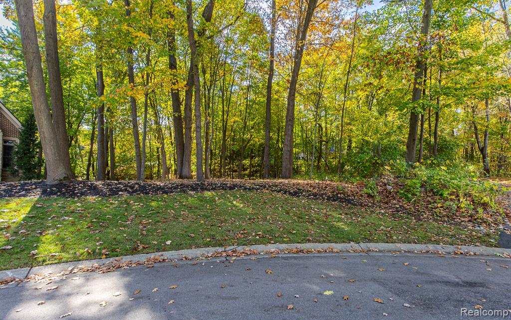 9933 Kingston Ridge, Clarkston, MI 48348 — Photo 2