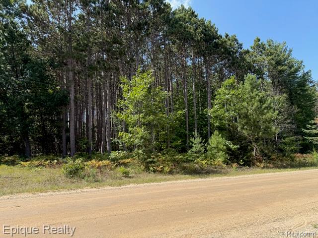 10399 85th Ave, Mecosta, MI 49332