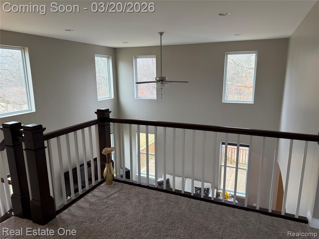 58206 Sunflower Circle N, New Hudson, MI 48165 — Photo 20