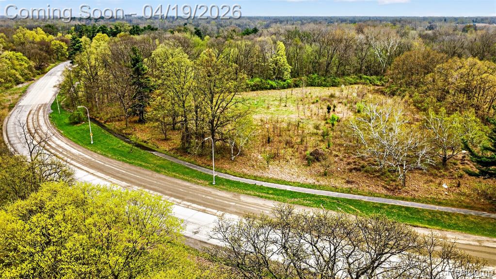 9075 W Parkway Street, Detroit, MI 48239 — Photo 5
