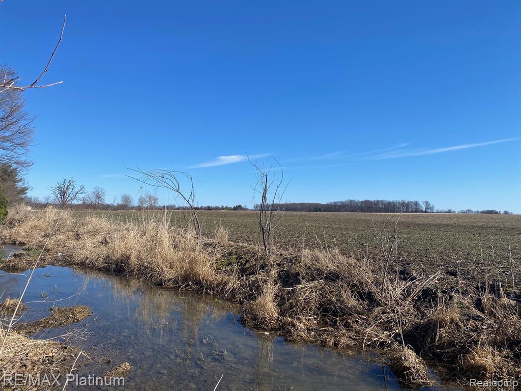 17801 CORUNNA Road, Chesaning, MI 48616 — Photo 24