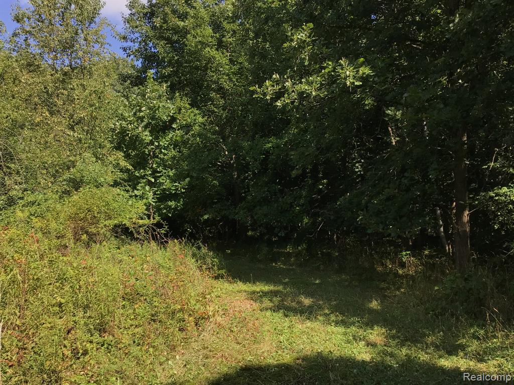 1581 S Force Road, Attica, MI 48412 — Photo 80