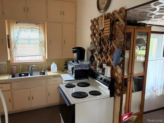431 Lytle Avenue, Harbor Beach, MI 48441 — Photo 11