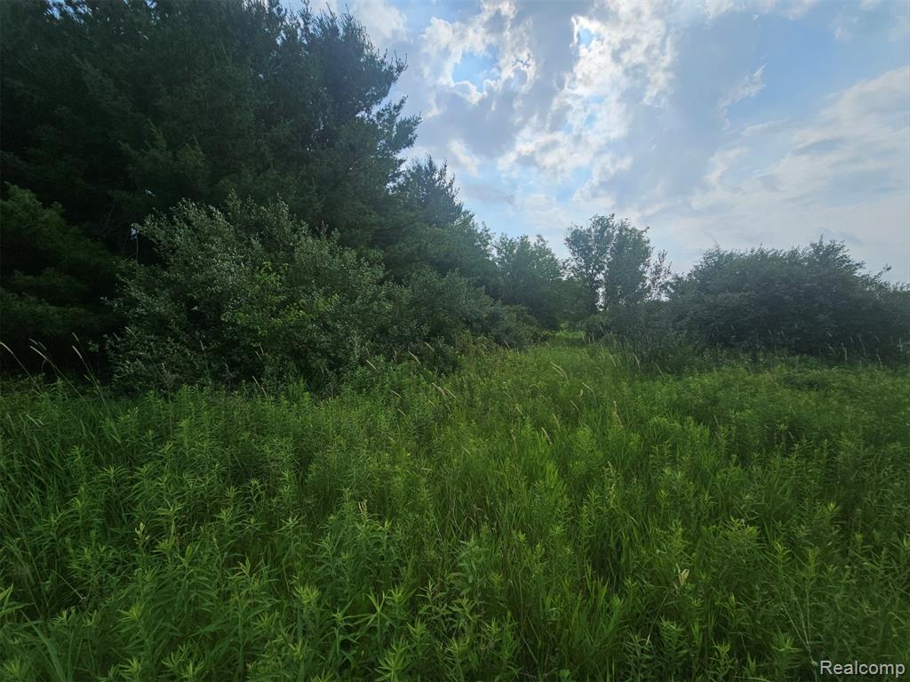 VL Millville Road, Lapeer, MI 48446 — Photo 10