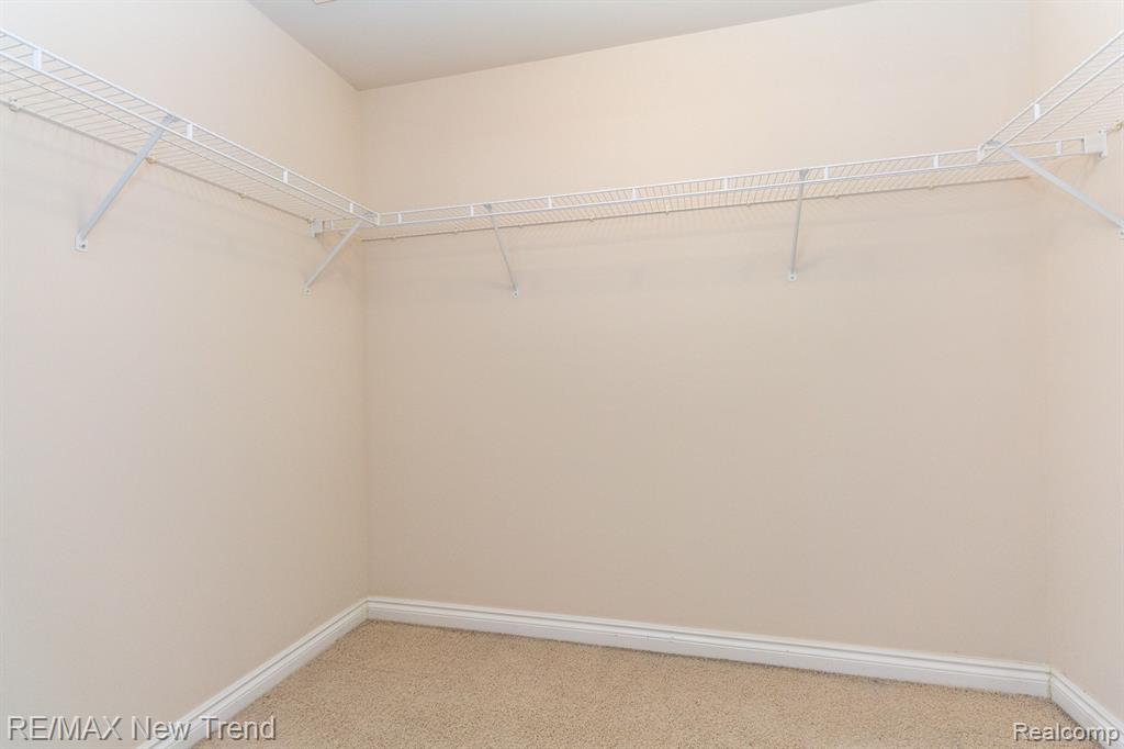 29319 DOUGLAS Drive, Novi, MI 48377 — Photo 19