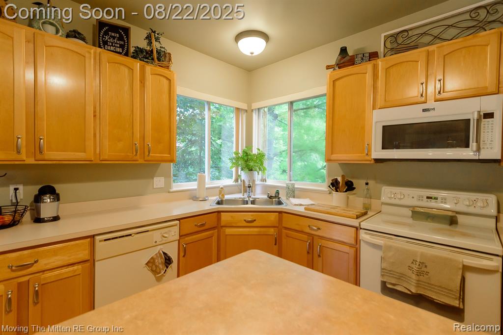 42782 Pond Ridge Lane, Van Buren, MI 48111 — Photo 14