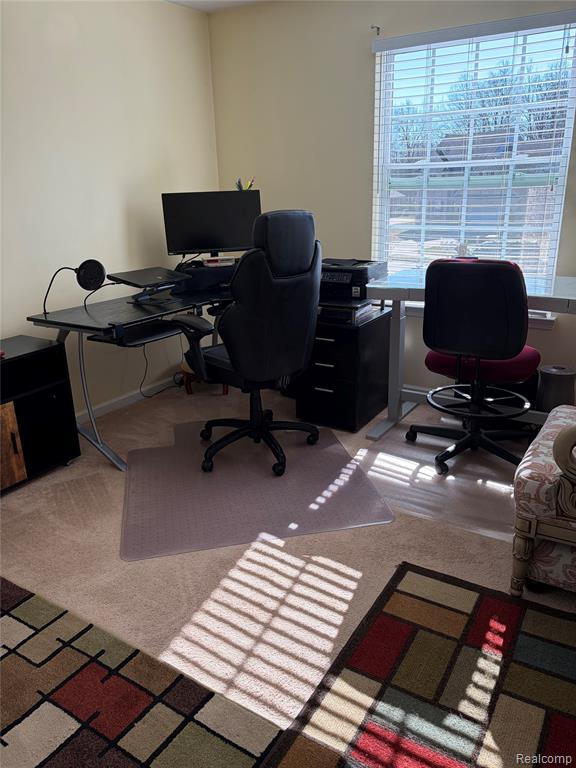 44265 Timberview Court, Belleville, MI 48111 — Photo 36