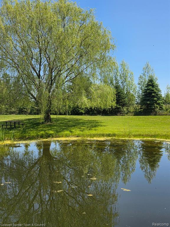 717 N Youngs Road, Attica, MI 48412 — Photo 83