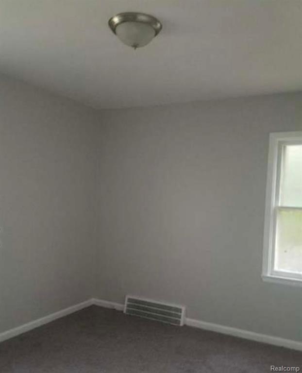 20502 Riopelle Street, Detroit, MI 48203 — Photo 3