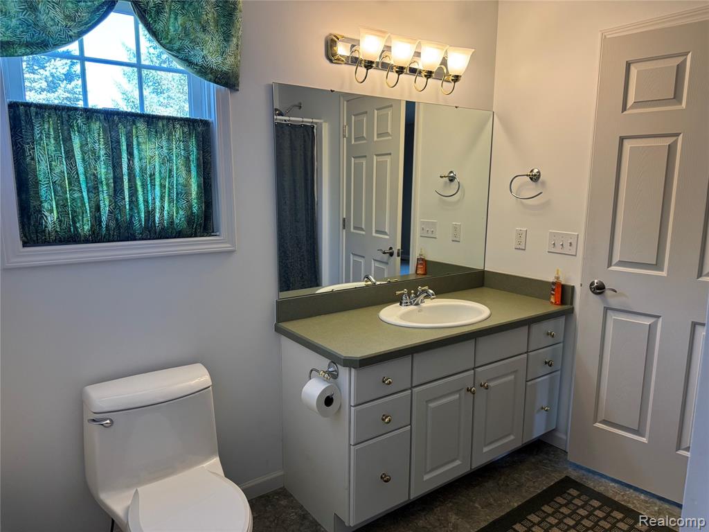3198 Leeomi Drive, Britton, MI 49229 — Photo 19