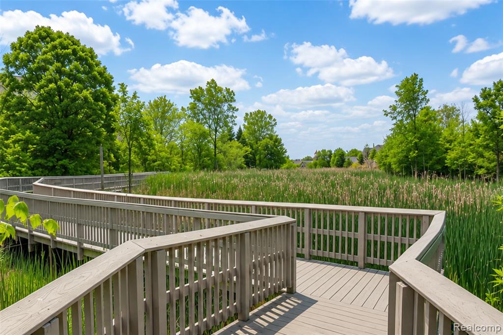 41633 Tera Lane, Novi, MI — Photo 49