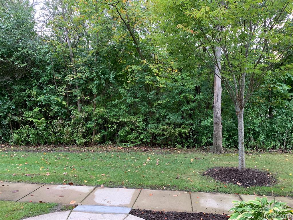 3986 RADCLIFF Drive, Canton, MI 48188 — Photo 28