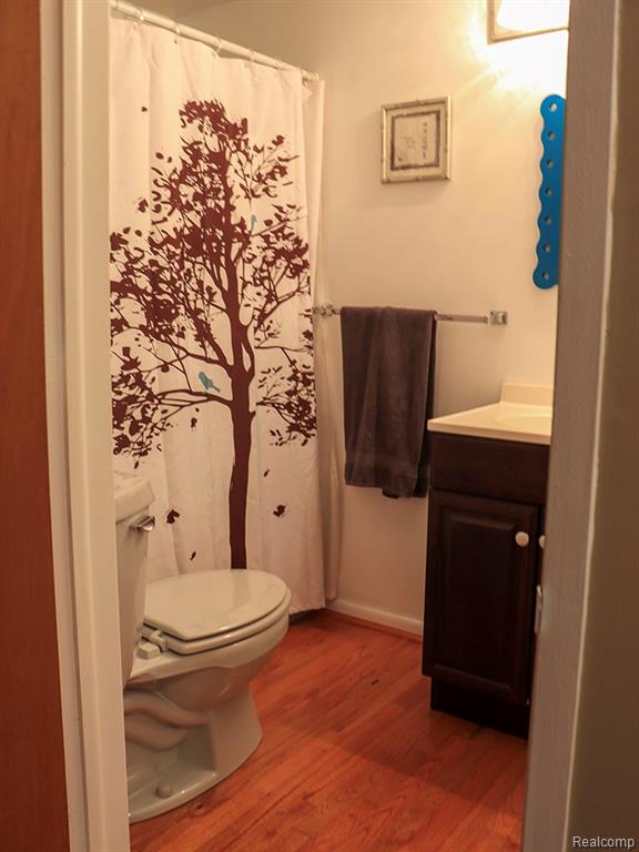 311 S Clinton Street, Stockbridge, MI 49285 — Photo 22