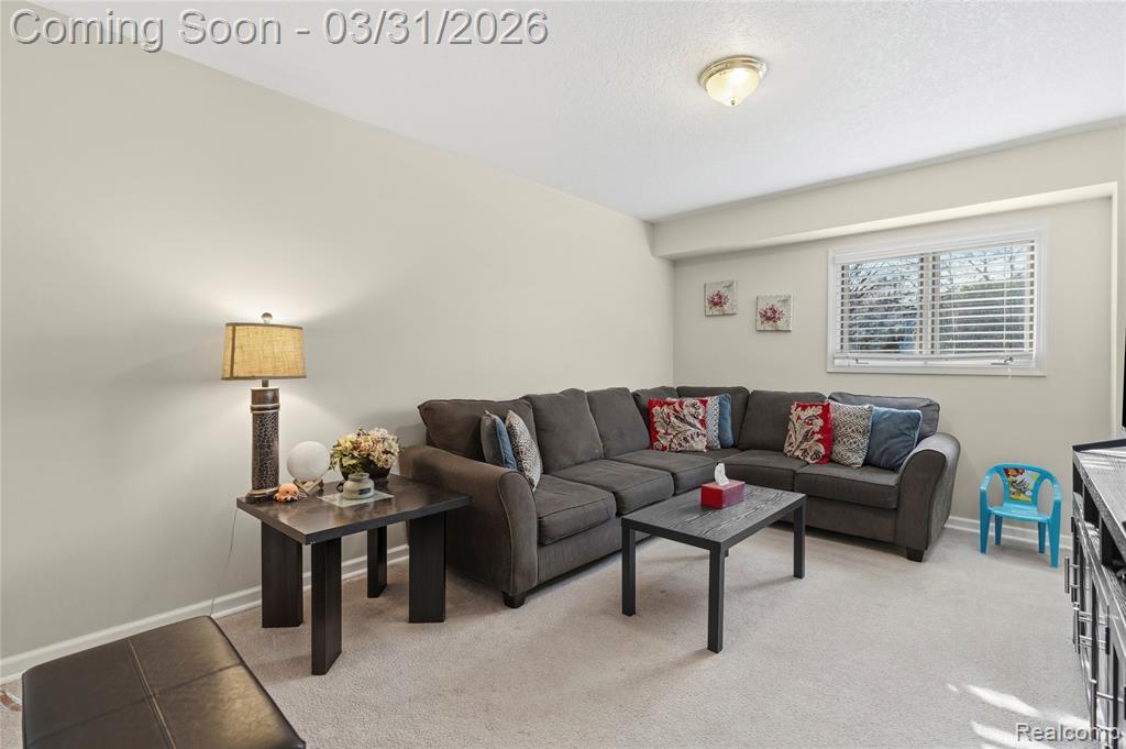 6361 Squire Lake Drive, Flushing, MI 48433 — Photo 30