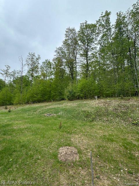 3624 WINDY HOLLOW ROAD NW, Rapid City, MI 49676 — Photo 12