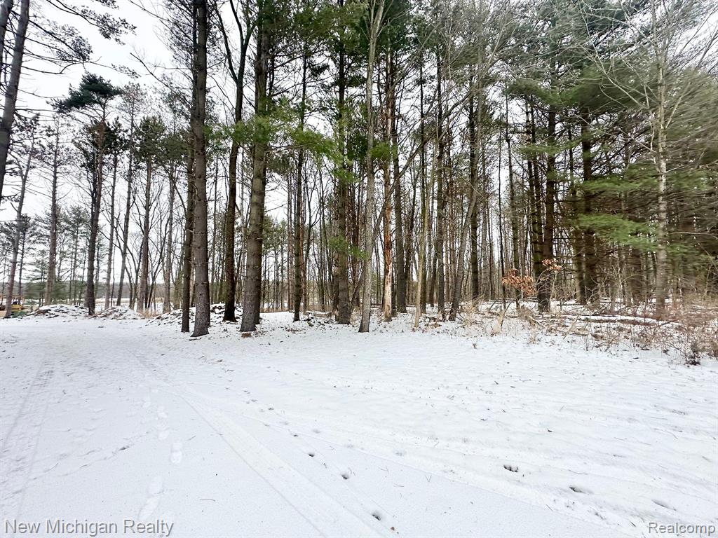 11461 WHITE LAKE Road, Fenton, MI, 48430