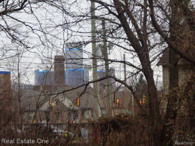 2706 HENDRICKS Street, Detroit, MI 48207 — Photo 12