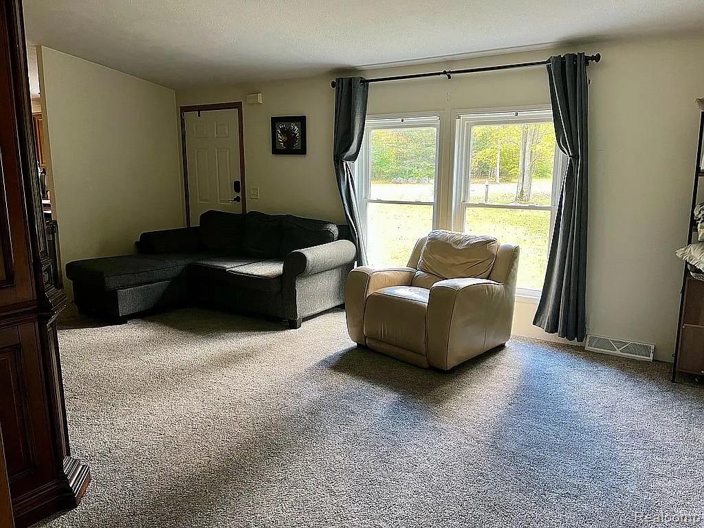2829 Mushroom Road, Caro, MI 48723 — Photo 10