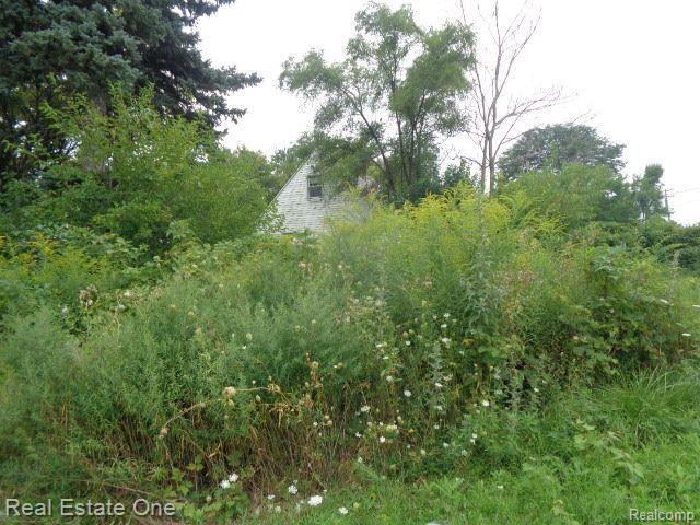 13281 GABLE Street, Hamtramck, MI, 48212