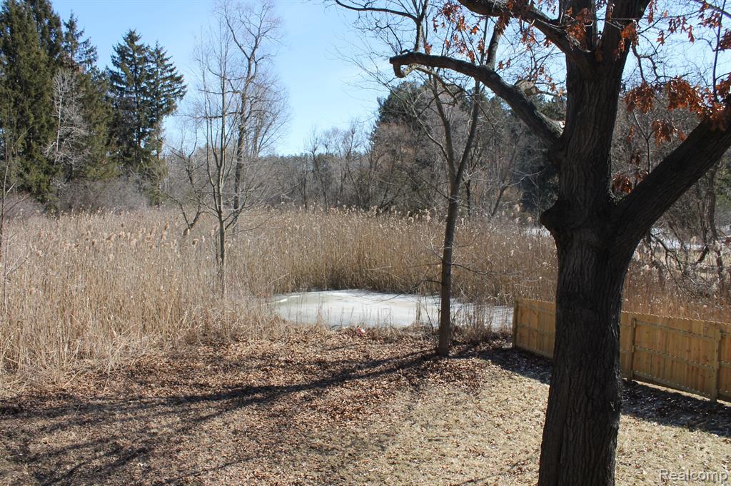 9611 WHITEWOOD Road, Pinckney, MI 48169 — Photo 19