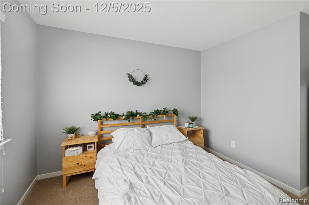 41512 Pheasant Creek Drive, Canton, MI 48188 — Photo 28