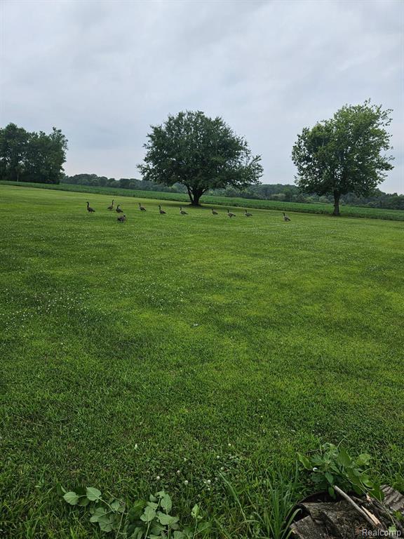 6359 E Bristol Road, Burton, MI 48519 — Photo 33