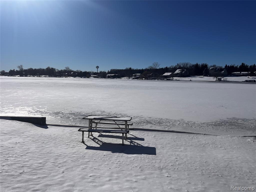 8252 Woodland Shore Drive, Brighton, MI 48114 — Photo 3