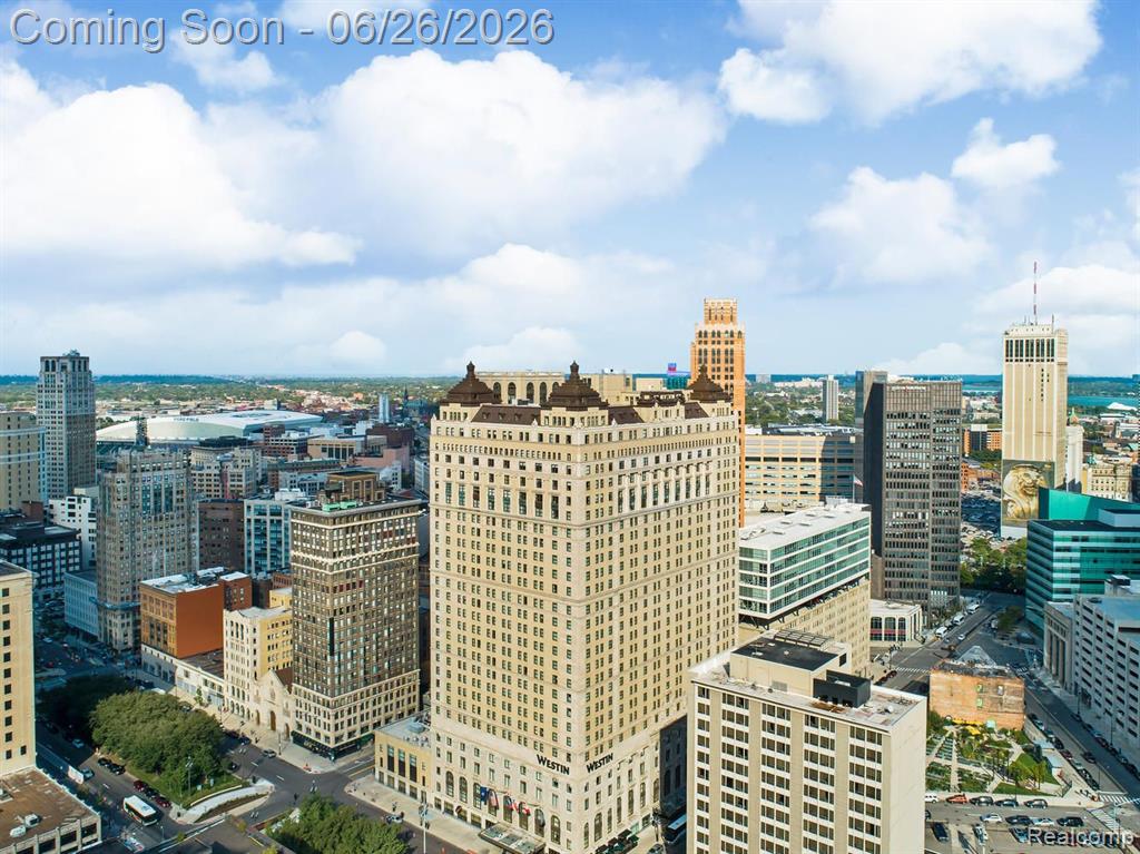 1135 Shelby Street, 2505, Detroit, MI 48226 — Photo 19
