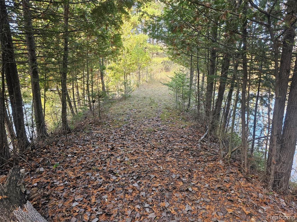 4901 M-55, Tawas City, MI 48763 — Photo 27