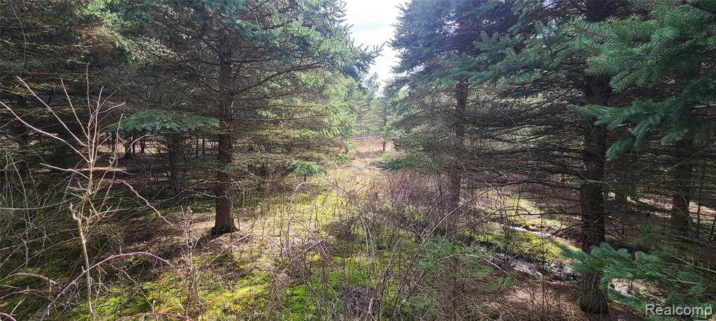 VL Millville Road, Lapeer, MI 48446 — Photo 3