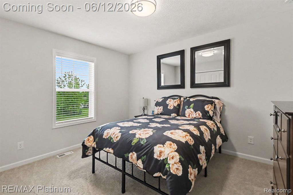 603 LAND BRIDGE, Perry, MI 48872 — Photo 21