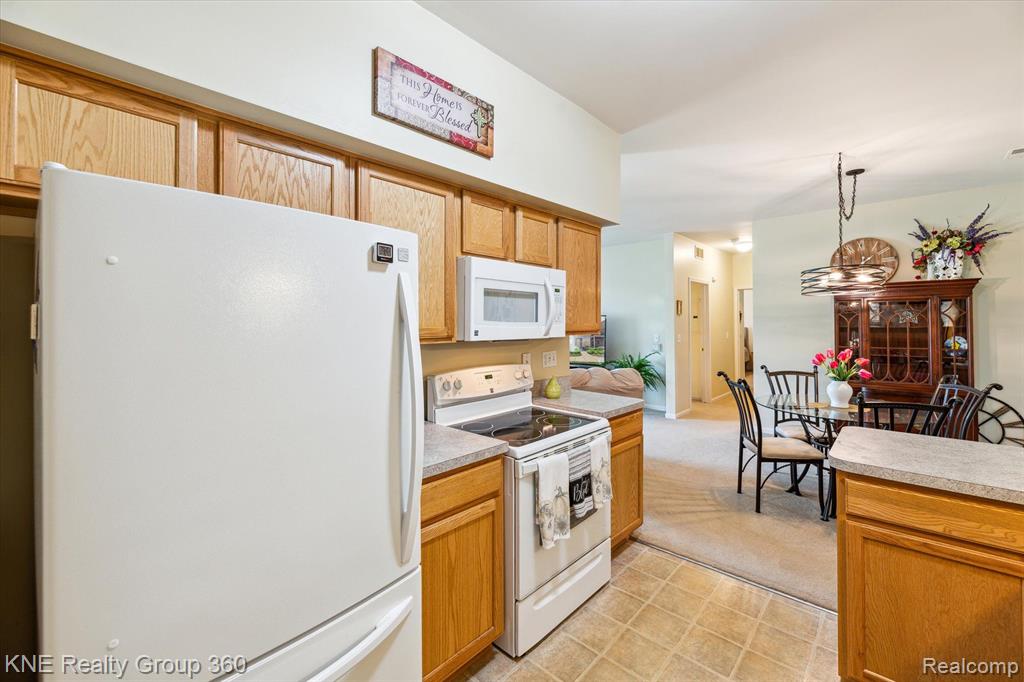 1056 SHIAWASSEE Circle, Howell, MI 48843 — Photo 23