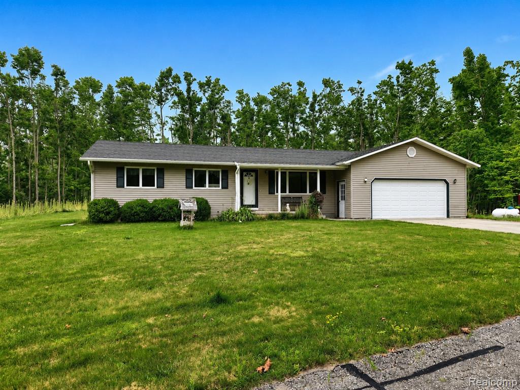 11183 Wolf Road, Johannesburg, MI 49751 — Photo 2
