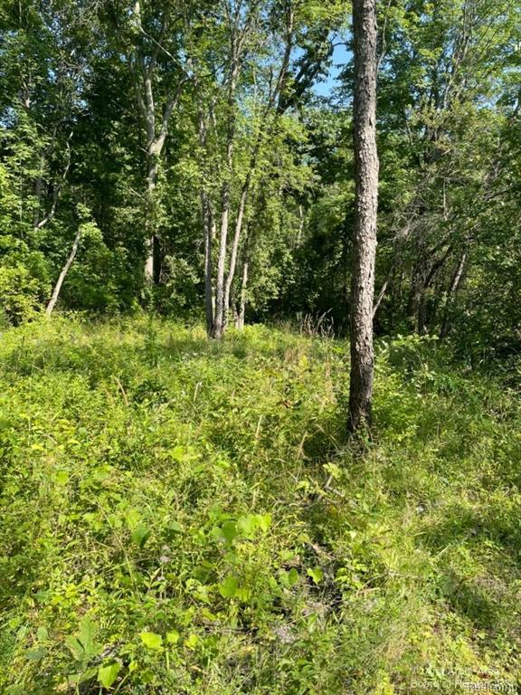 VL Denton Hills Road, Fenton, MI 48430 — Photo 15