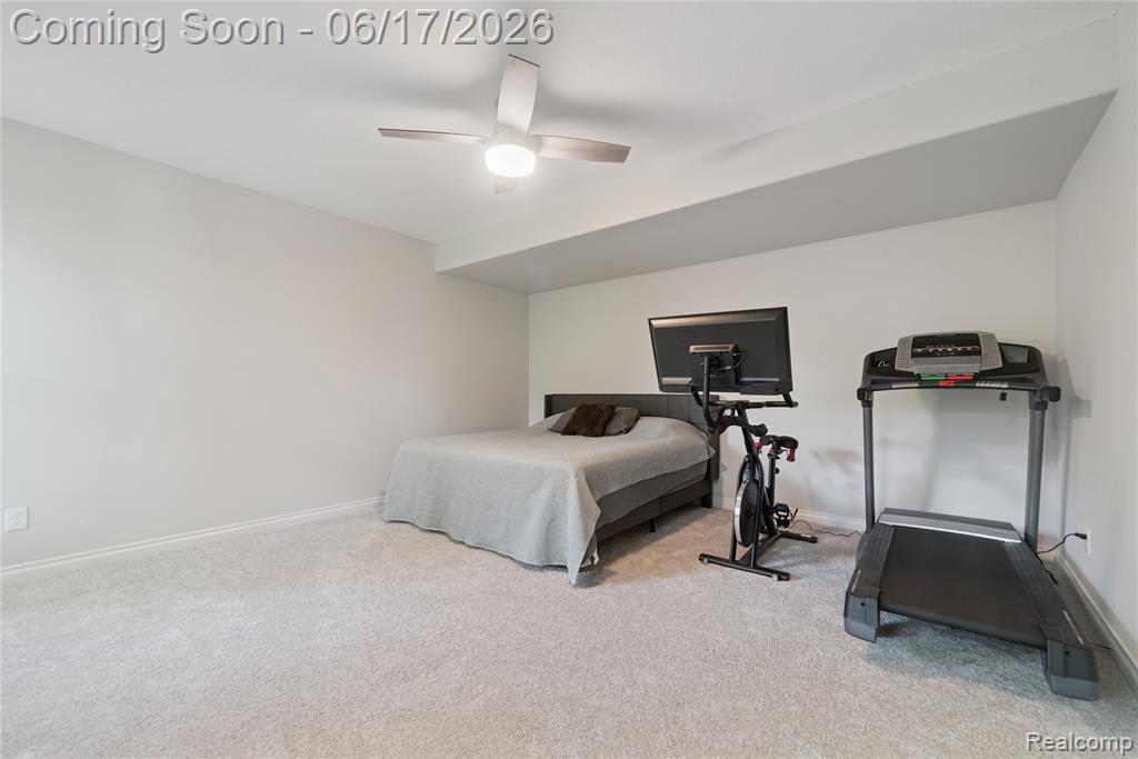 16939 Willowbrook Drive, Haslett, MI 48840 — Photo 47
