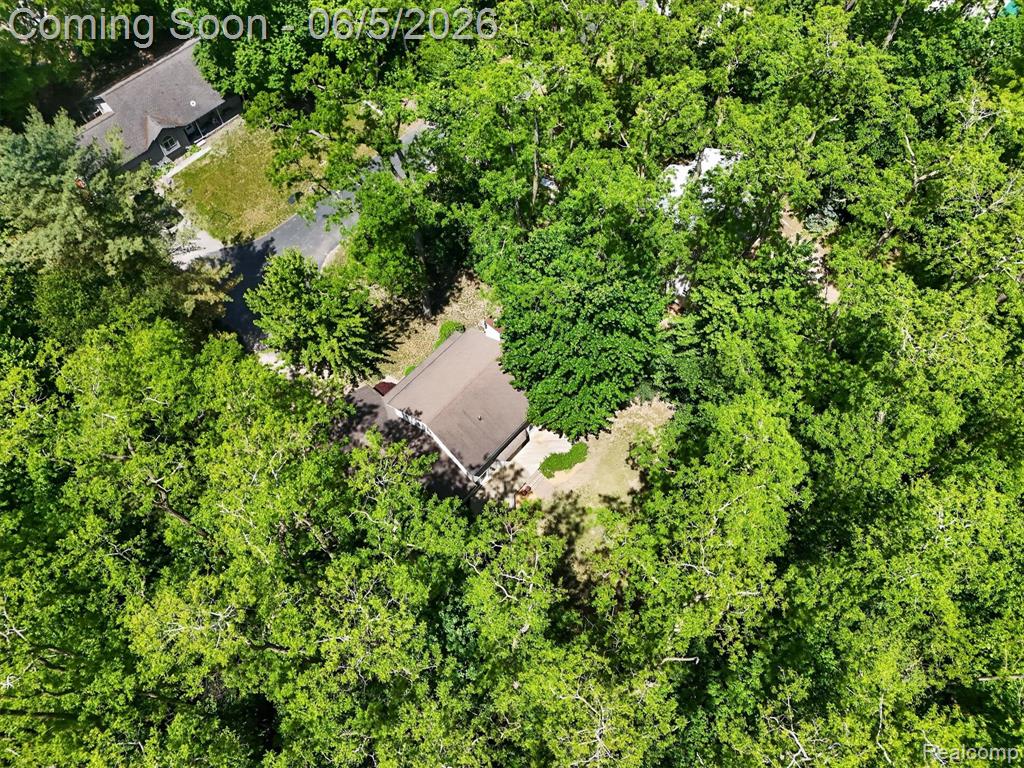 15129 Locust Grove Drive, Byron, MI 48418 — Photo 56